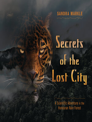 cover image of Secrets of the Lost City